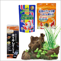 魚・爬虫類・両生類