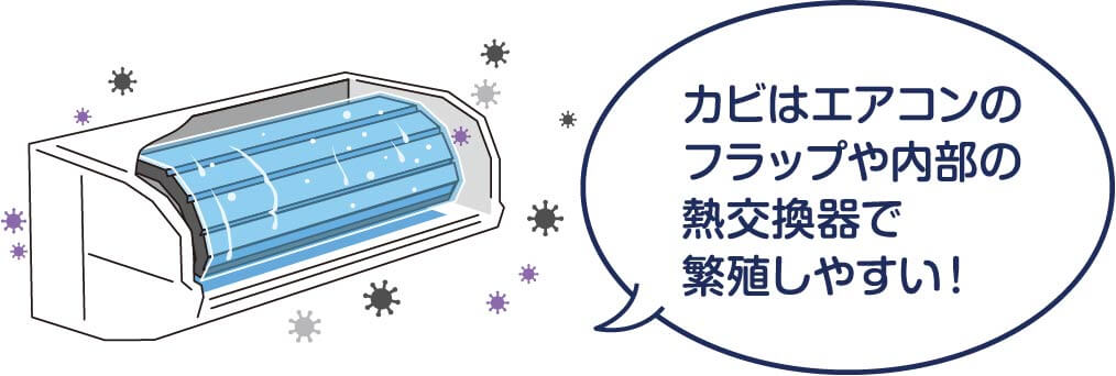 カビはエアコンのフラップや内部の熱交換器で繁殖しやすい！