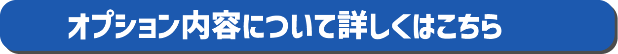 オプション内容について詳しくはこちら