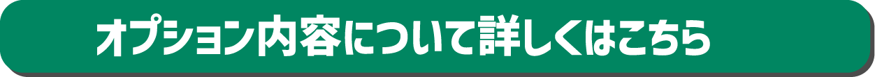 オプション内容について詳しくはこちら