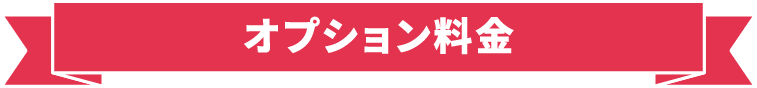 オプション料金
