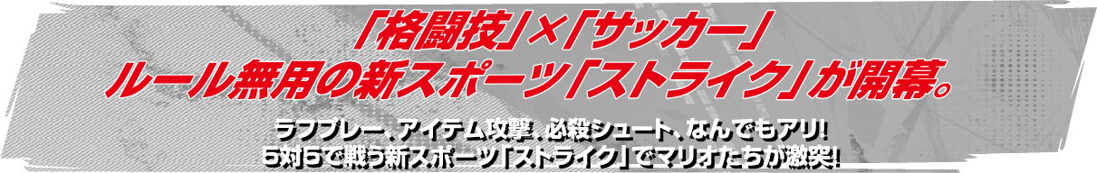「格闘技」×「サッカー」ルール無用の新スポーツ「ストライク」が開幕