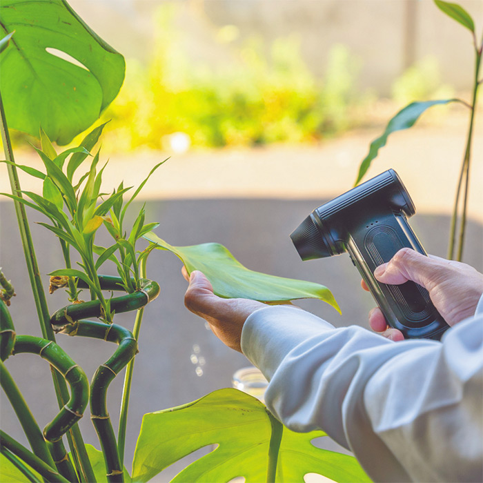 観葉植物への使用イメージ