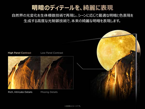 明暗のディテールを、綺麗に表現