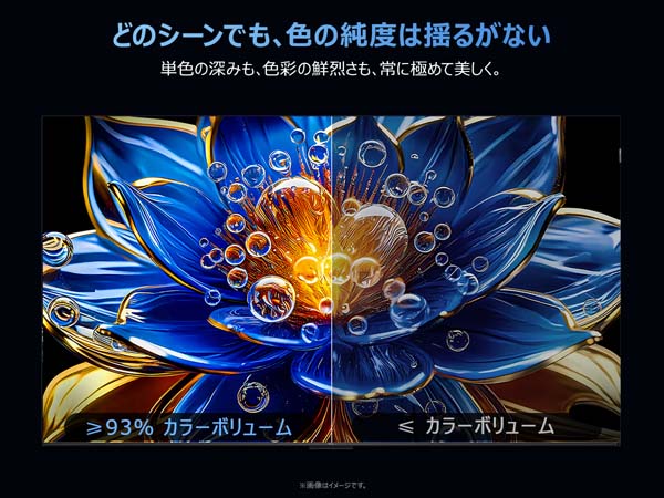 どのシーンでも、色の純度は揺るがない