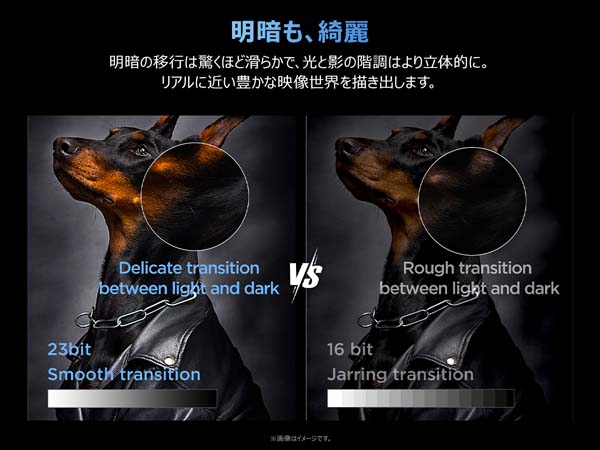 明暗も、綺麗