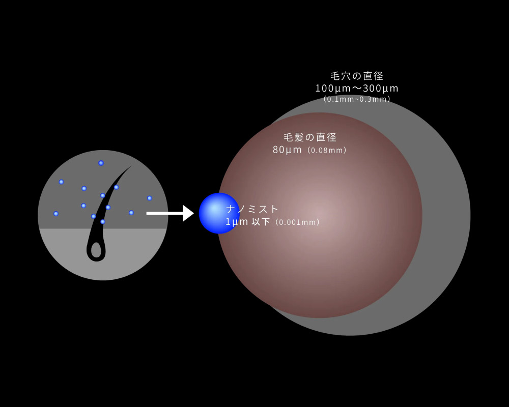 ナノ化ミストで美容成分を髪に貯水 毛先までしっとり潤い、まとまりのある美髪に