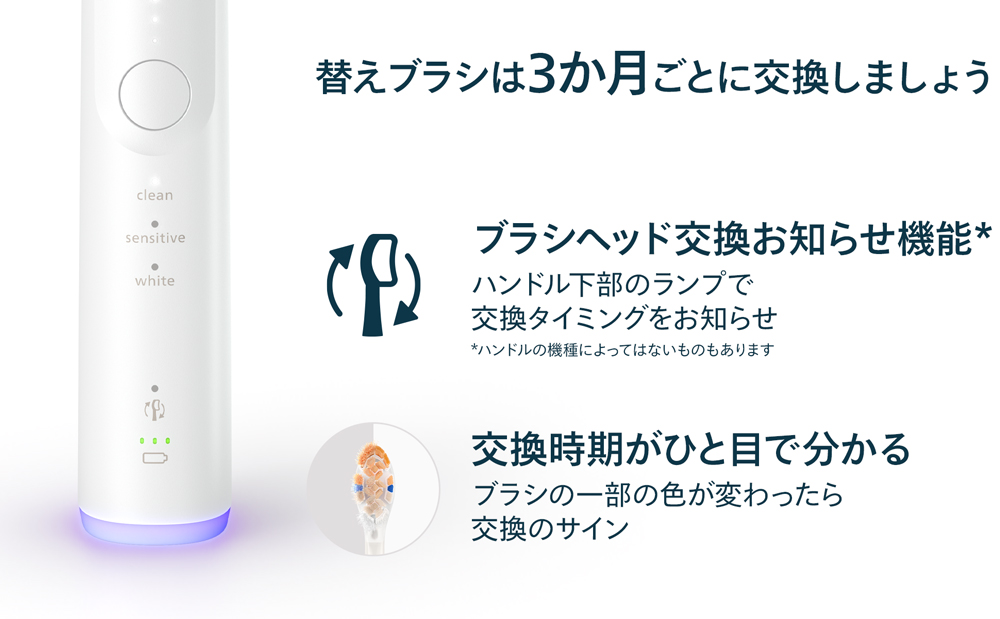 替えブラシは3か月ごとに交換しましょう