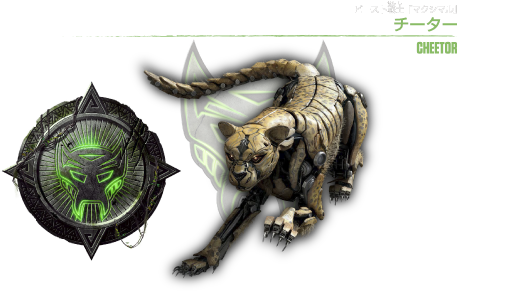 チーター