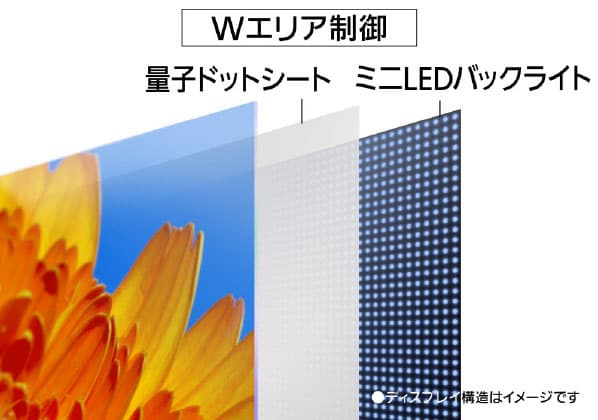 量子ドットとミニLEDの構造イメージ