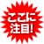 ここに注目!