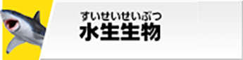 水生生物