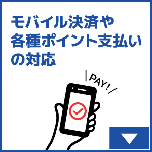 モバイル決済や各種ポイント支払いの対応