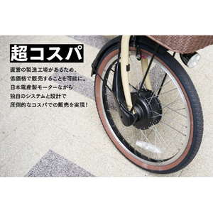 PELTECH 20型折り畳み電動アシスト自転車 外装6段 ブラック TDN-206L-BK-8AH-イメージ2