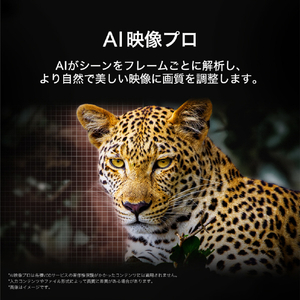 LGエレクトロニクス 65V型4Kチューナー内蔵有機ELテレビ OLED65C5PJA-イメージ6