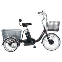 PELTECH 電動アシスト三輪車 前輪20型/後輪16型 レッド TDR-163L-R-8AH