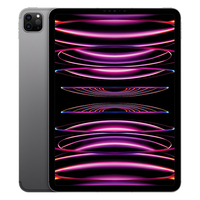 Apple 11インチiPad Pro Wi-Fi + Cellular 2TB スペースグレイ MNYL3J/A