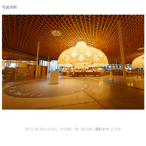 SONY デジタル一眼カメラα[Eマウント]用レンズ FE PZ 16-35mm F4 G SELP1635G-イメージ4