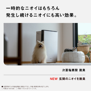 パナソニック 次亜塩素酸 空間除菌脱臭機 ziaino(ジアイーノ) ダークグレー F-ML4000B-H-イメージ11