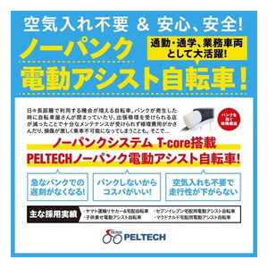 PELTECH ノーパンク 折り畳み電動アシスト自転車 20インチ 折り畳み外装6段変速 ブラック TDN-206LN-BK-8AH-イメージ2