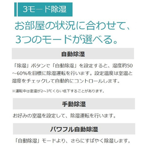 日立 「標準工事代金半額」 8畳 フィルター自動清掃 エアコン e angle select 凍結洗浄 白くまくん Gシリーズ RASGM2525SE5WS-イメージ9