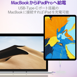 エレコム USB2．0ケーブル(C-C、PD対応) 1．0m ホワイト MPA-CC10PNWH-イメージ6