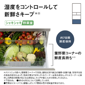 パナソニック 【右開き】410L 5ドア 冷凍冷蔵庫 マットライトベージュ NR-E41RY3-C-イメージ11