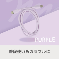 e angle USBケーブル(1m) パープル ANGL-UCA-25-01-PU