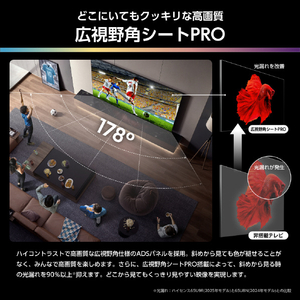 ハイセンス 116V型 4K液晶テレビ U9Rシリーズ 116U9R-イメージ6