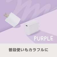 e angle USB充電器 パープル ANGL-UCH-25-03-PU