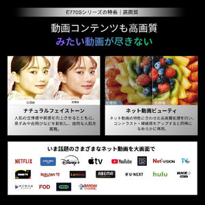 TVS REGZA 4K Mini LED液晶テレビ 75E770S-イメージ5