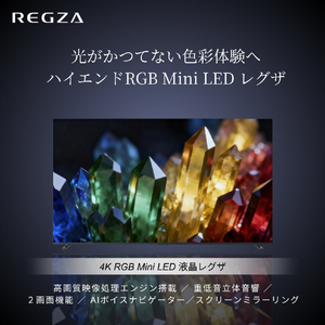 TVS REGZA 4K RGB Mini LED液晶テレビ 65ZX3S-イメージ2