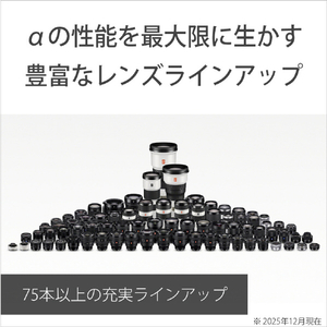 SONY ミラーレス一眼カメラ α ILCE-7M5M-イメージ18