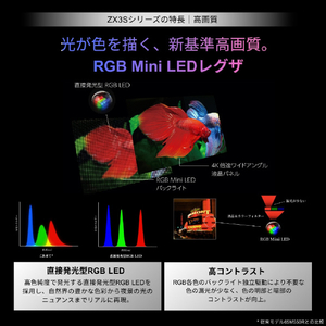 TVS REGZA 4K RGB Mini LED液晶テレビ 100ZX3S-イメージ4