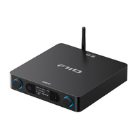 FIIO BR15 R2R ブラック FIO-BR15R-B