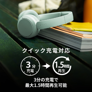 SONY ワイヤレスステレオヘッドセット コバルト WH-CH530 L-イメージ11