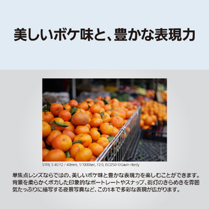 パナソニック デジタル一眼カメラ用交換レンズ LUMIX  Sシリーズレンズ ブラック S-S40-K-イメージ5