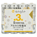 e angle 単3形アルカリ乾電池 4本入り ANGV-LR6L-A/4S