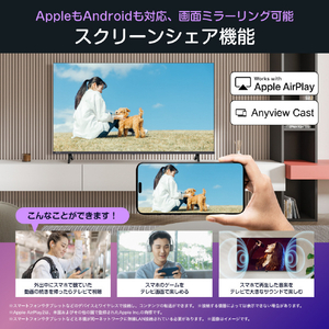 ハイセンス 43V型4Kチューナー内蔵4K対応液晶テレビ C55Rシリーズ 43C55R-イメージ2
