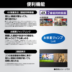 パナソニック 4K対応液晶テレビ VIERA TV-65W95C-イメージ18