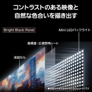 パナソニック 55型 4K対応液晶テレビ VIERA TV-55W95C-イメージ9
