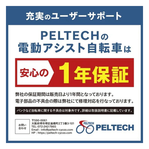 PELTECH 【電動アシスト自転車】X-adventure 20型折り畳み外装6段変速ハイパワーモデル ベージュ TDN-246L-BE-イメージ11