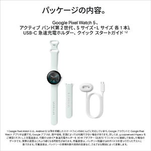 Google Google Pixel Watch 5(45 mm) (第 2 世代) Wi-Fi Polished Silver アルミケース / Fog アクティブ バンド GA10892-US-イメージ12