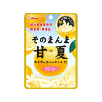 ライオン菓子 そのまんま甘夏 25g FCJ724N