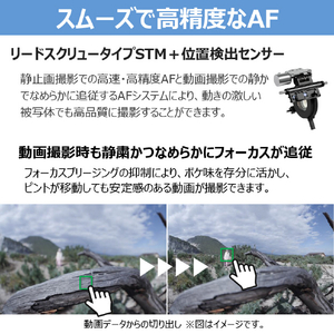 キヤノン RF7-14mm F2．8-3．5 L FISHEYE STM RFレンズ RF714LFESTM-イメージ9