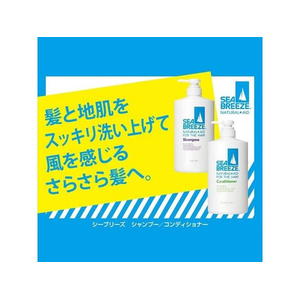 ファイントゥデイ シーブリーズ シャンプーf つめかえ用 400mL FCE903H-イメージ2