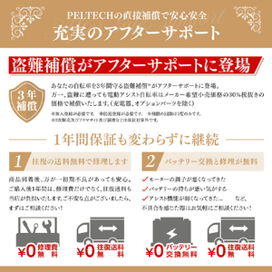 PELTECH 27.5型 V型電動アシスト自転車外装6段 復刻モデル スモーキーブルー TDA-728L-SBL-12AH-イメージ8