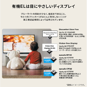 LGエレクトロニクス 65V型4Kチューナー内蔵4K対応有機ELテレビ OLED65G6PJB-イメージ6