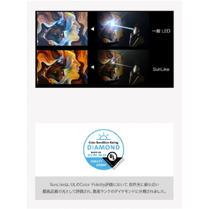 スワン LEDアームスタンド(スタンド式) SWAN LEDIC EXARM・DIVA ブラッキーグレイ LEX-997BGY-イメージ10