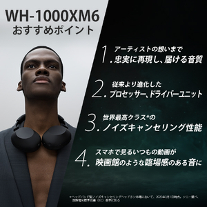 SONY ワイヤレスノイズキャンセリングステレオヘッドセット プラチナシルバー WH-1000XM6 S-イメージ2